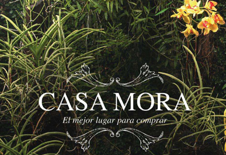 CASA MORA