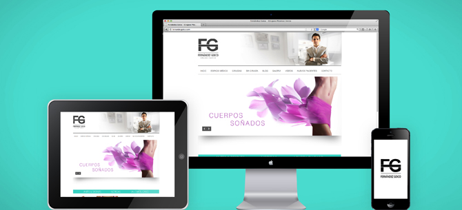 FERNANDEZ GOICO