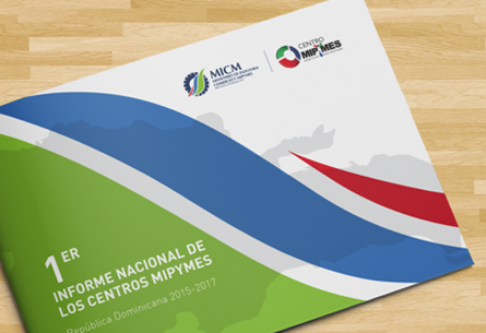 INFORME CENTROS MIPYMES
